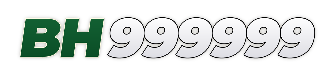 bh999999